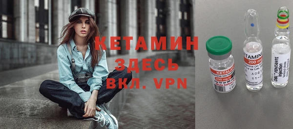 стафф Алексин