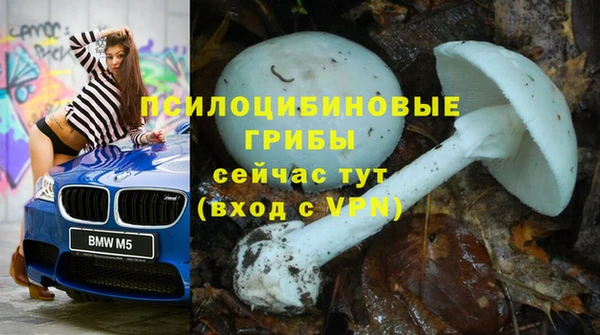 мескалин Белокуриха