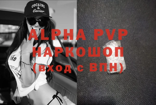 стафф Алексин