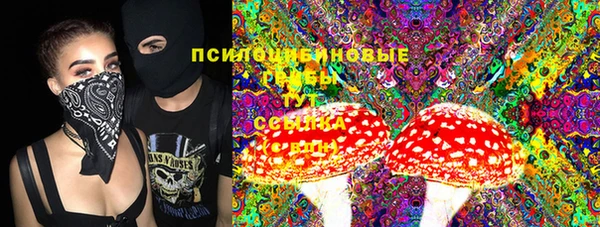 стафф Алексин