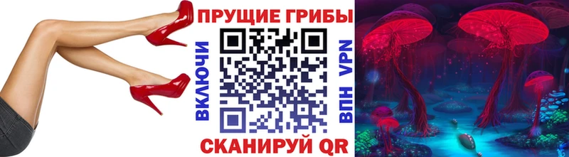 цены   Майкоп  мориарти клад  Галлюциногенные грибы мухоморы  KRAKEN онион 