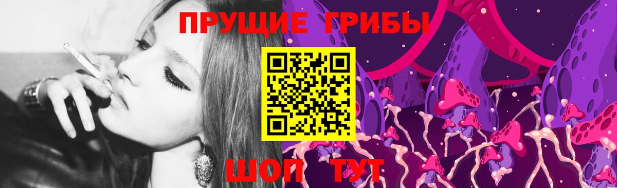 Галлюциногенные грибы GOLDEN TEACHER  Вход с VPN  Майкоп 